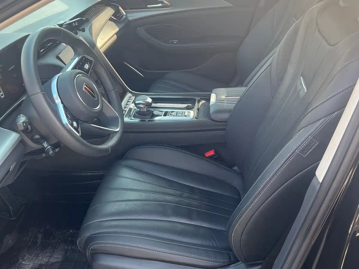 Hongqi H5 2024 2.0T Automatic Smart Connect Flag Leader Edition фото 6