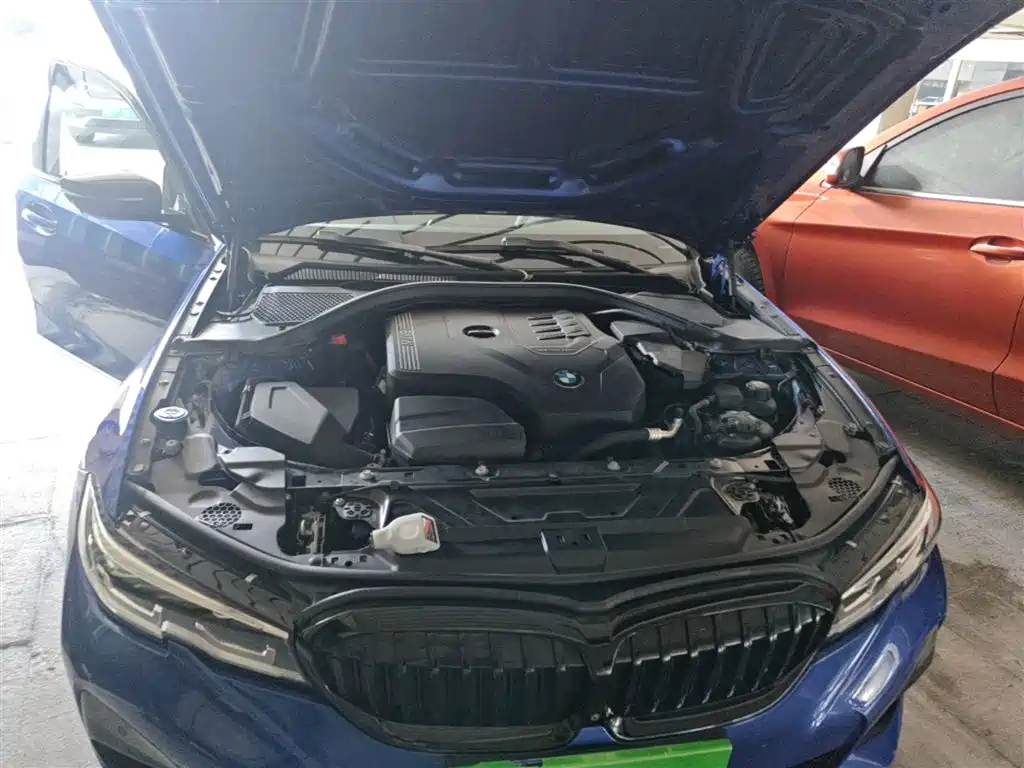 BMW 3 Series 2020 325i M Sport Black Night Package фото 20
