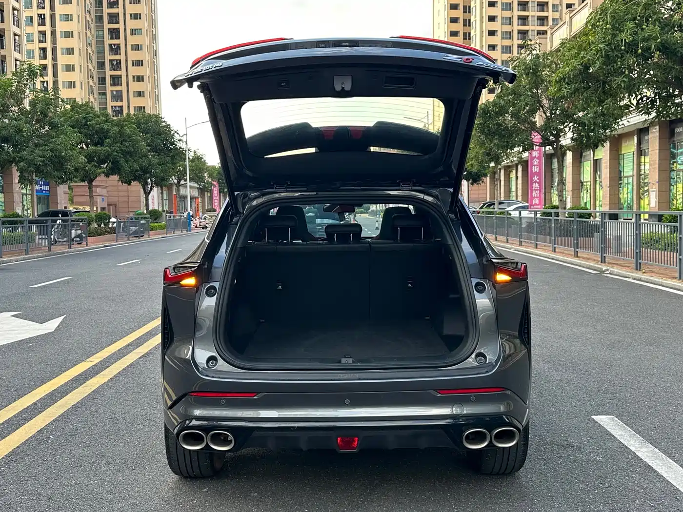 Changan Oshan Z6 2023 2023 Blue Whale 1.5T DCT Smart Leader