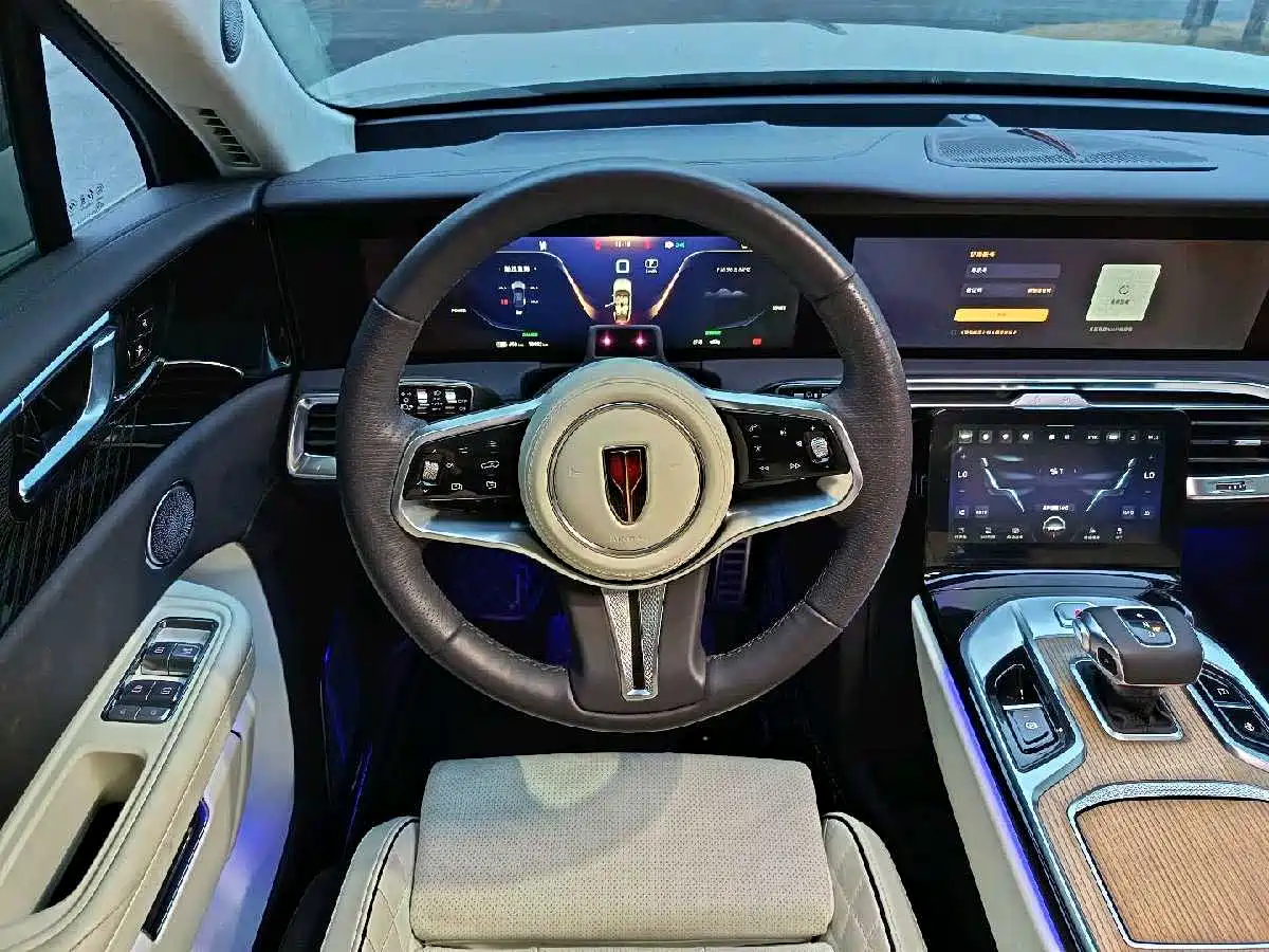 Hongqi E-HS9 2022 660km Qi Ling Edition (4-seater) фото 24