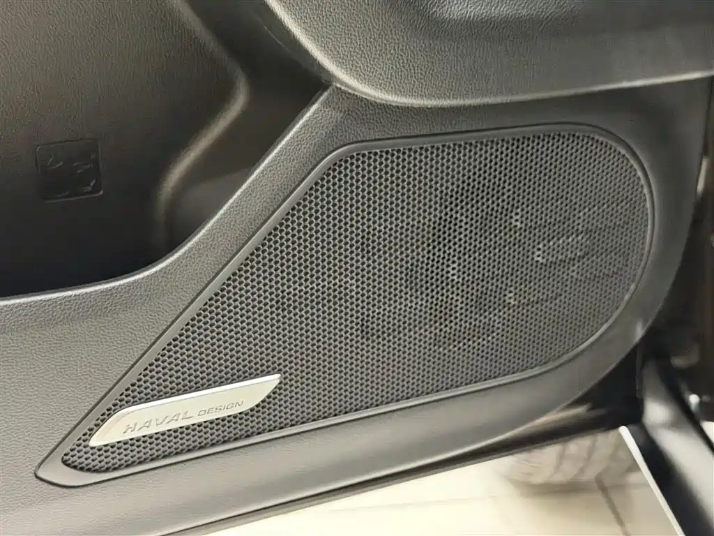 Haval Big Dog 2021 1.5T DCT 2WD Border Collie Edition фото 19