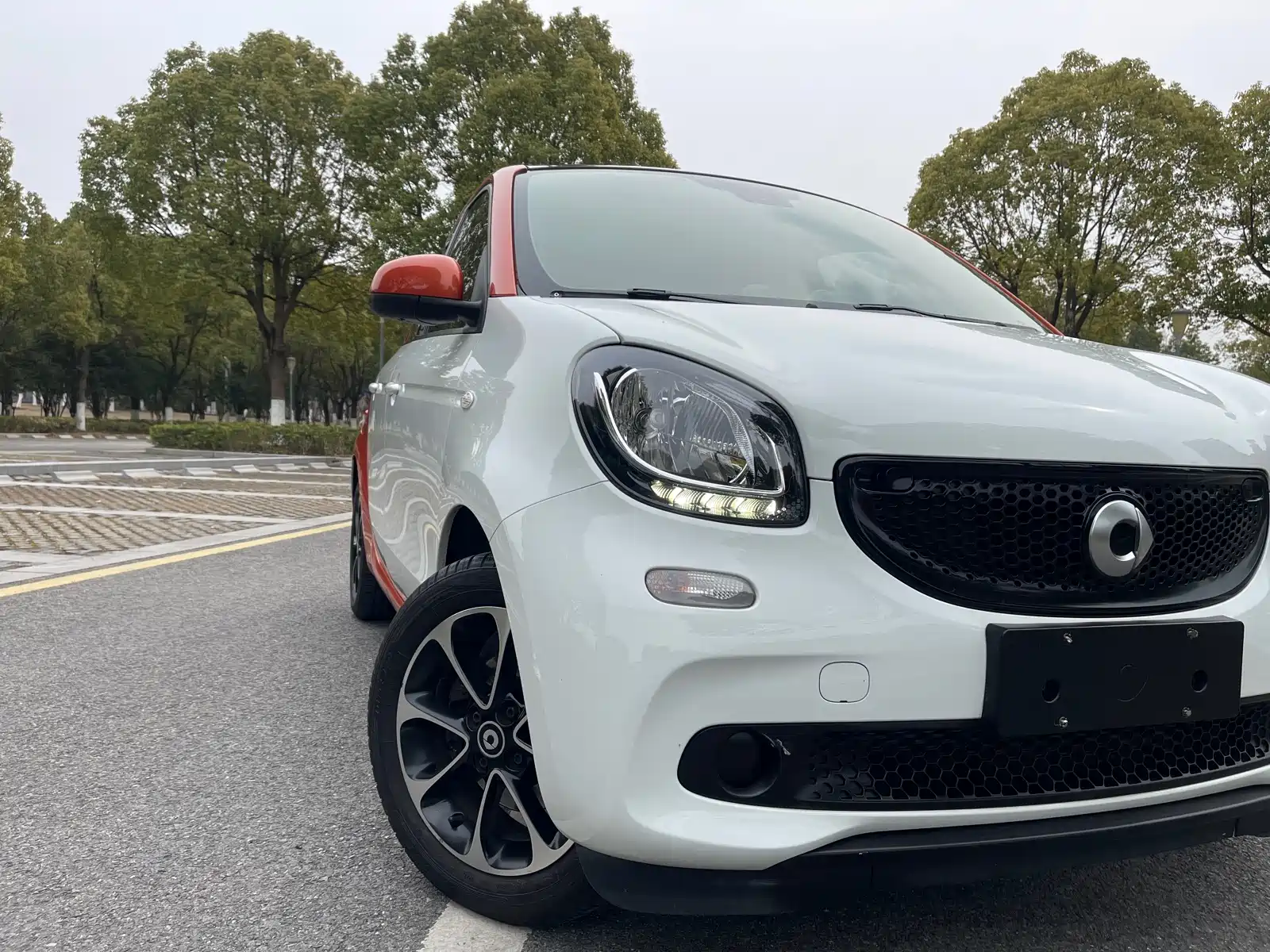 Фото 5 - smart forfour
