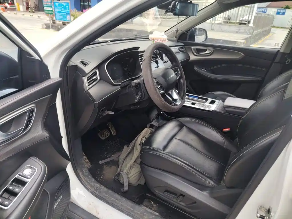 Photo 12 - Roewe RX5