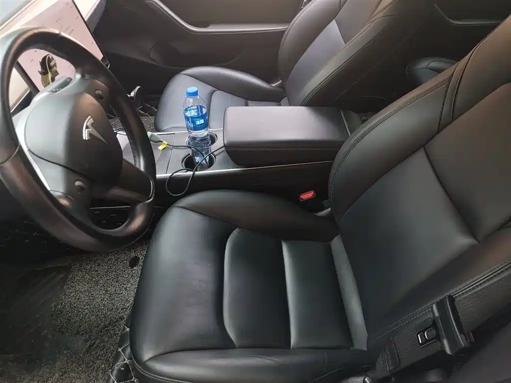 Tesla Model 3 (Import) 2019 2019 Long Range RWD Version