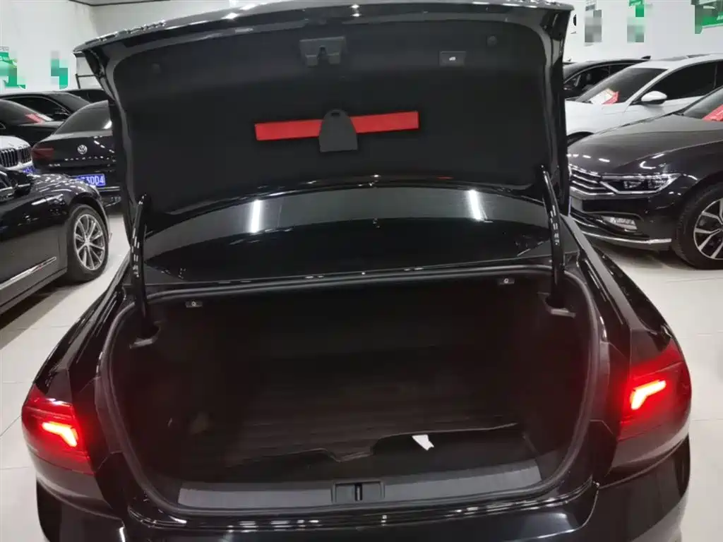 Volkswagen Magotan 2020 330TSI DSG Luxury фото 19