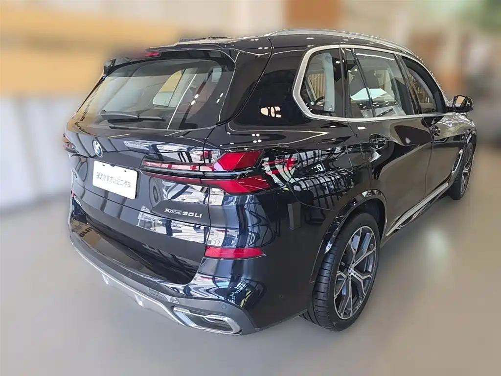 BMW X5 2023 xDrive 30Li Premium M Sport Package фото 12