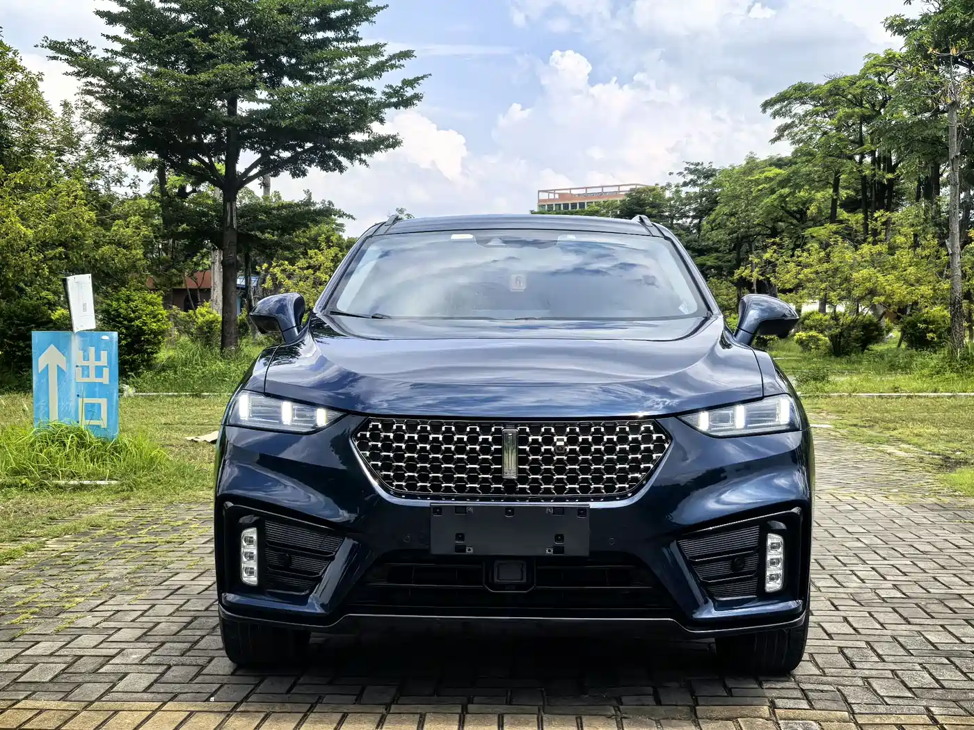 Фото 2 - WEY Wei VV7 GT