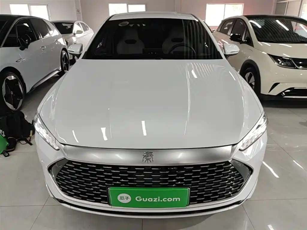 BYD Qin PLUS 2024 Glory Edition DM-i 55KM Leading фото 3