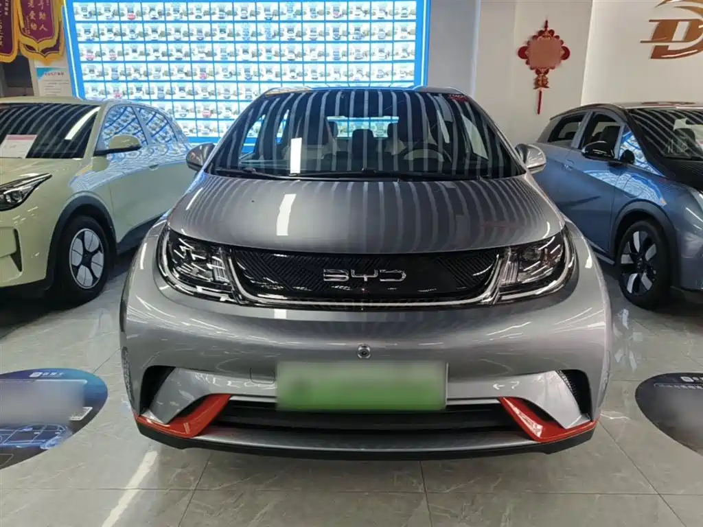 BYD Dolphin 2021 Model 405km Fashion Edition фото 3