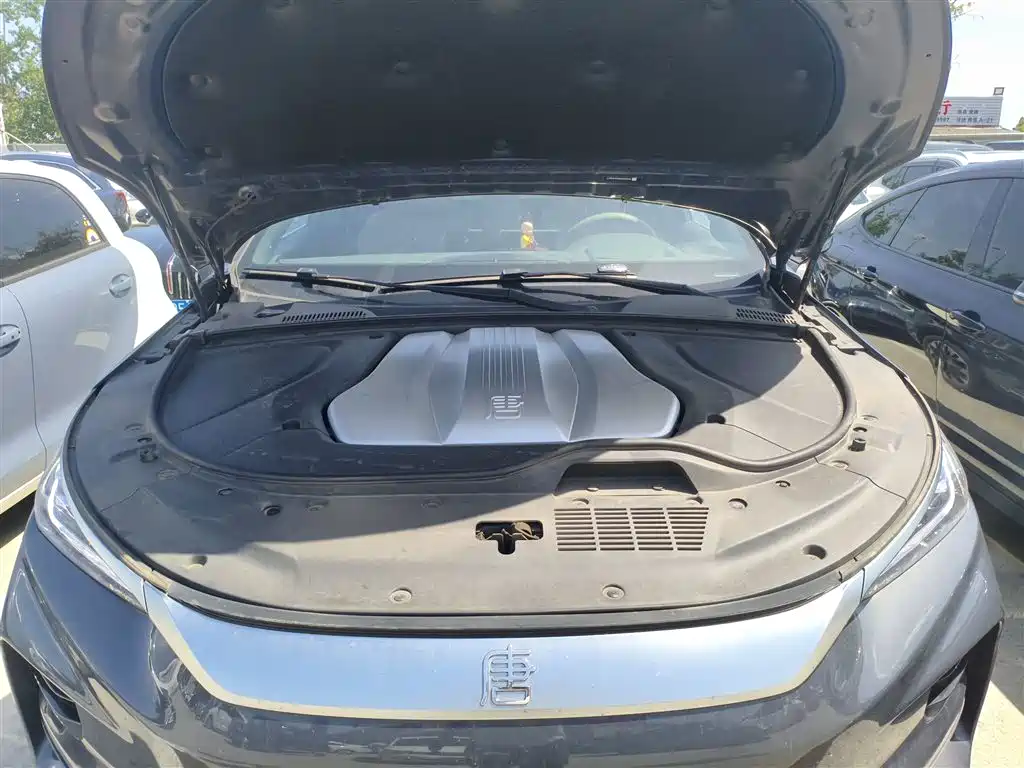BYD Tang New Energy 2024 EV Champion Edition 730KM Premium фото 16