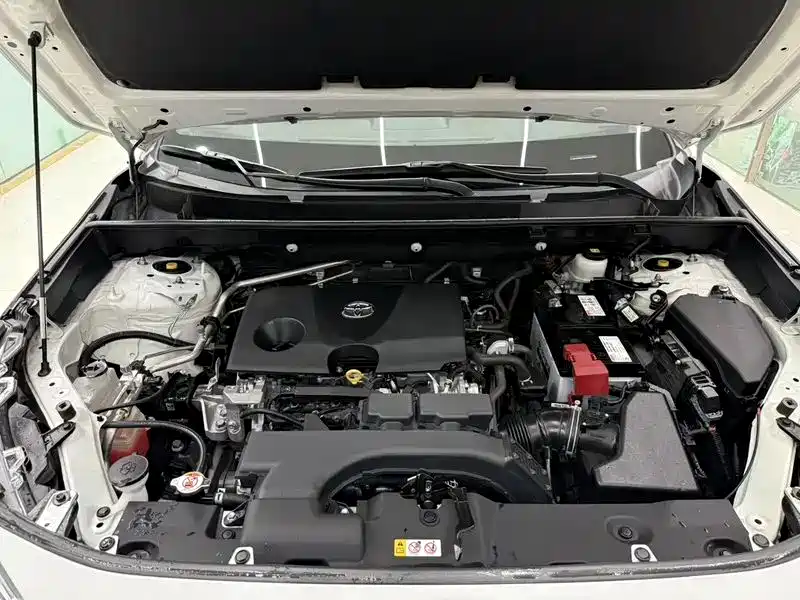 Toyota RAV4 Rongfang 2020 2.0L CVT AWD Trend Edition фото 9