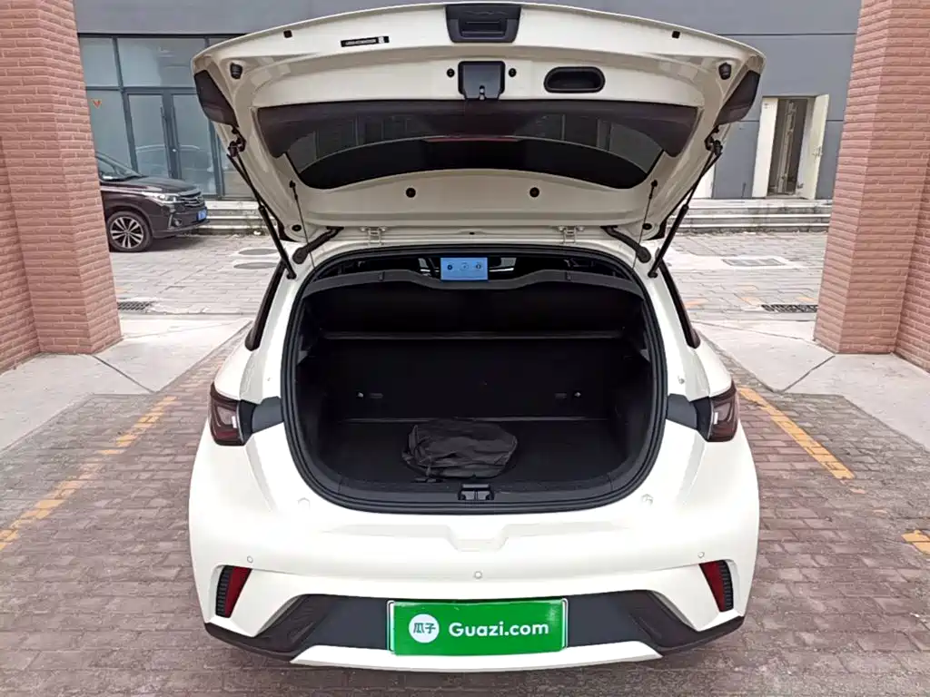 BYD Dolphin 2026 2025 420km Freedom Edition