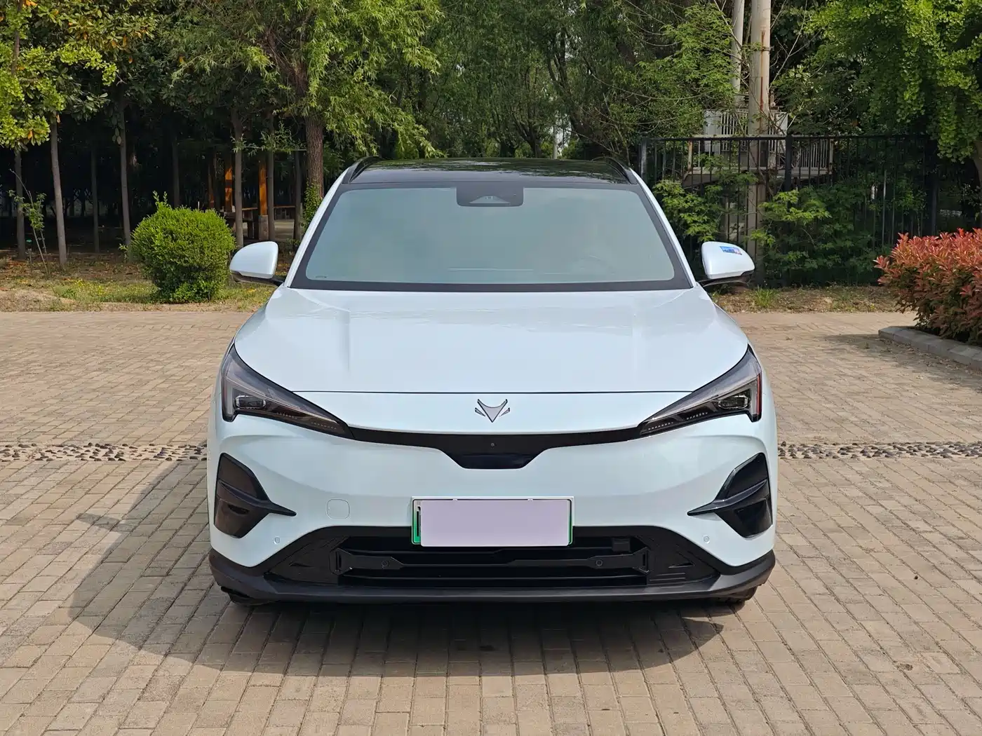 ARCFOX EXTREME FOX POLAR FOX ALPHA T5