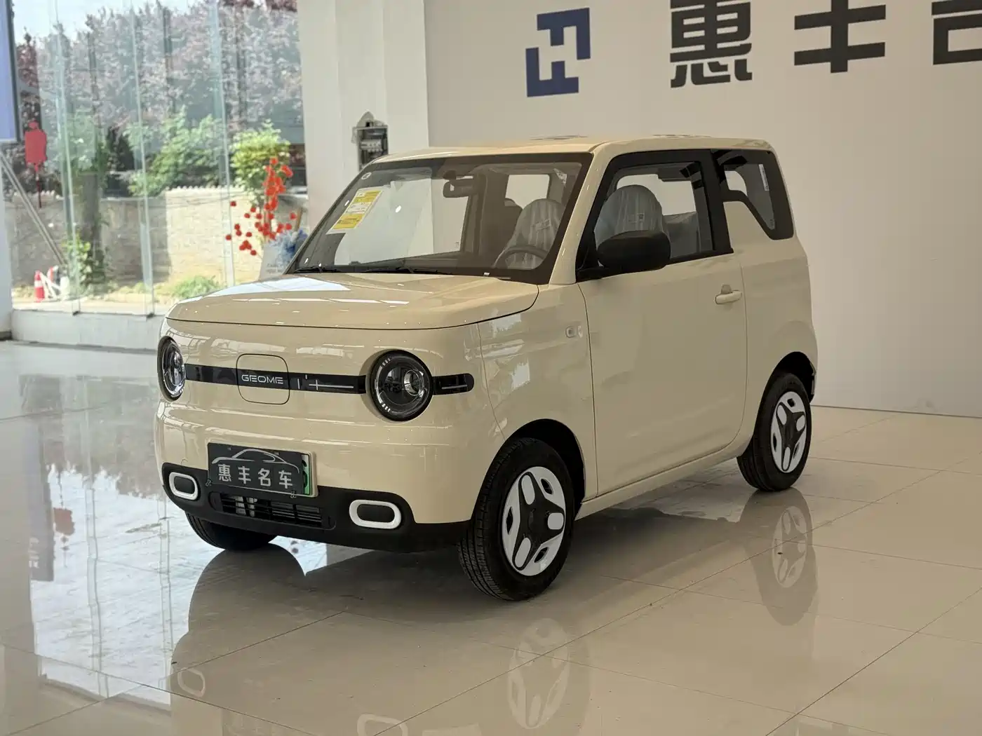 Geely Galaxy Panda 2025 Panda mini 210km Vitality Bear
