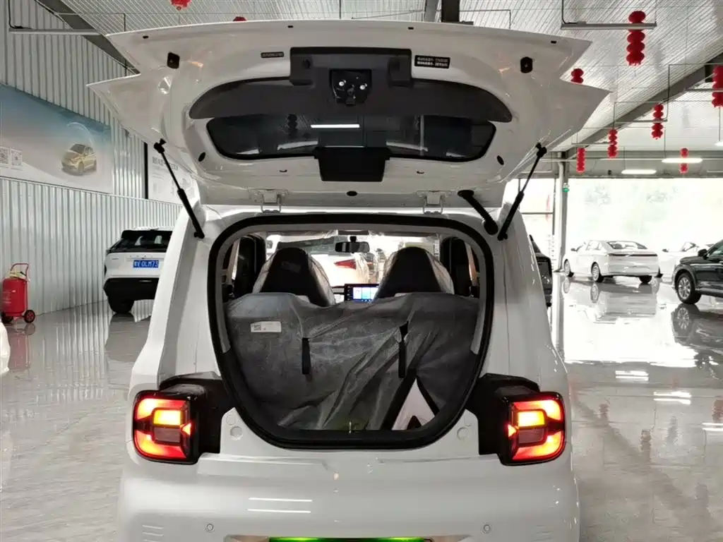 Geely Galaxy Panda 2025 Panda mini 210km Vitality Bear фото 19