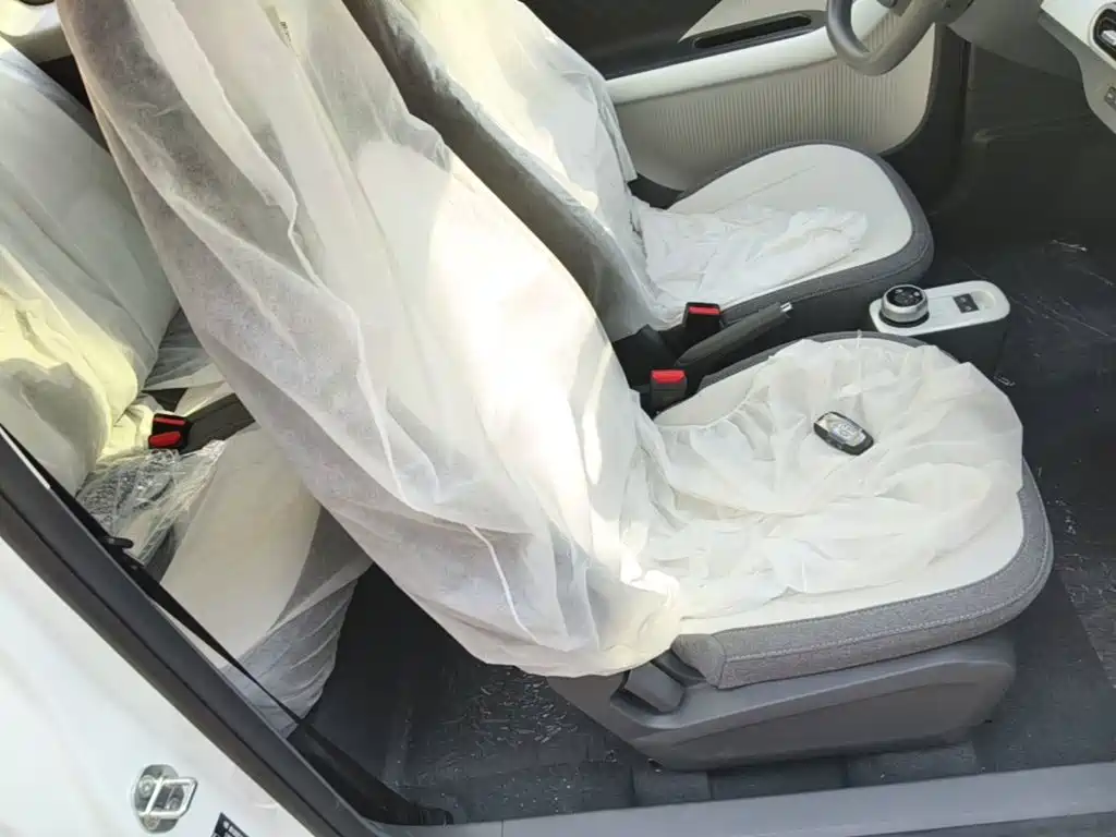 Geely Galaxy Panda 2026 2025 Panda mini 210km Vitality Bear