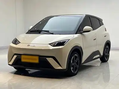BYD Seagull