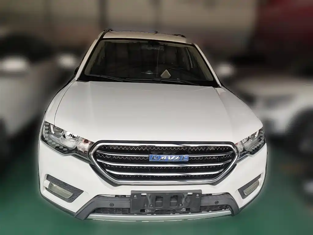 Haval H6 Coupe 2016 Blue Label 1.5T Automatic 2WD Elite фото 5
