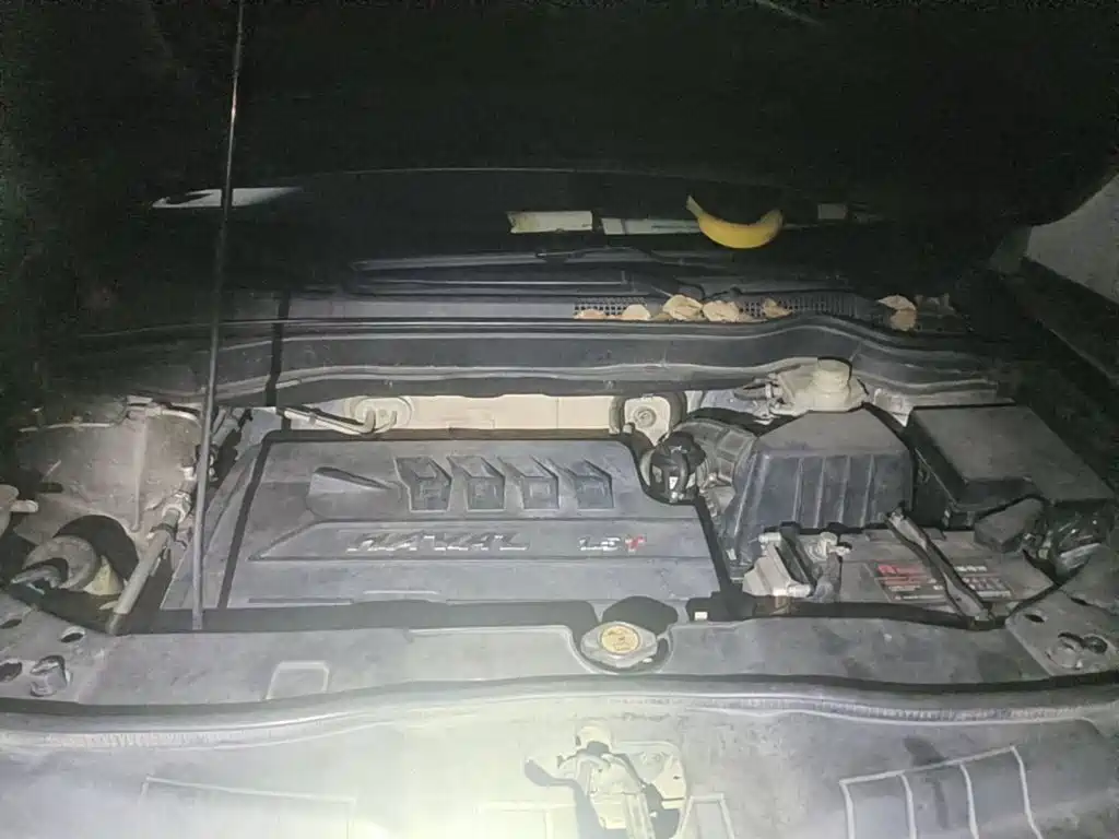 Фото 3 - Haval H6