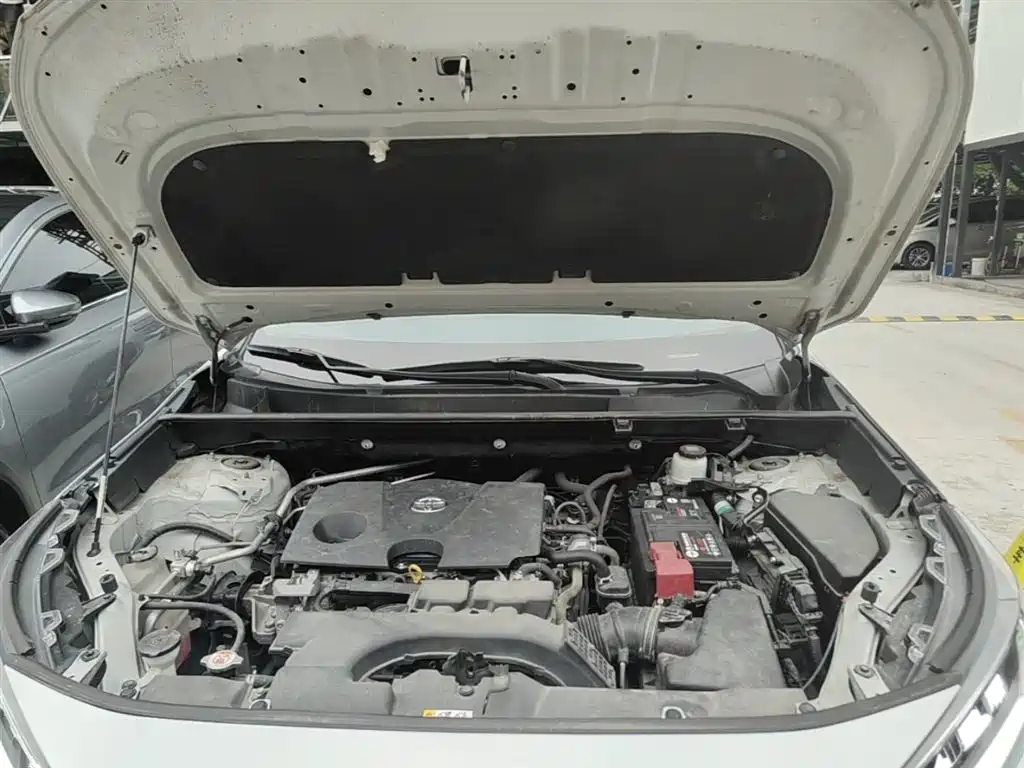 Toyota RAV4 Rongfang 2021 2.0L CVT 2WD Trend фото 20