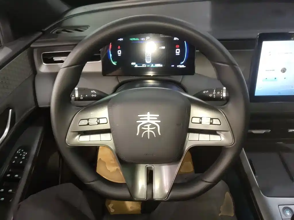 BYD Qin PLUS 2025 DM-i Smart Drive 55KM Leader фото 11