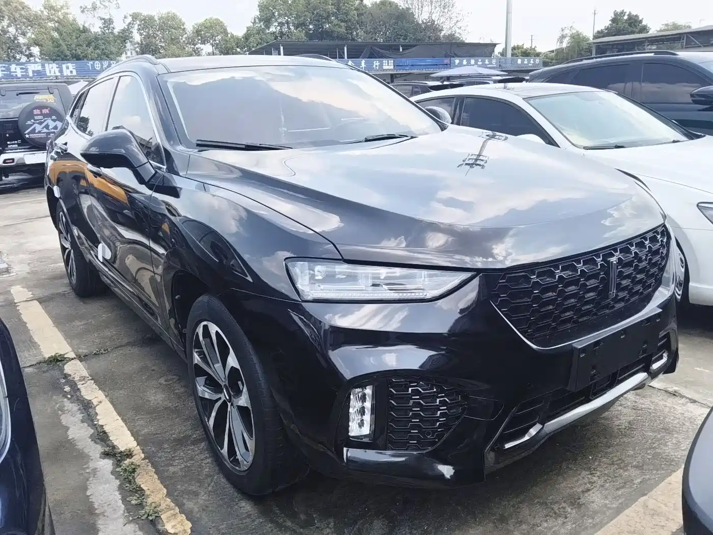 WEI PAI WEI BRAND VV7