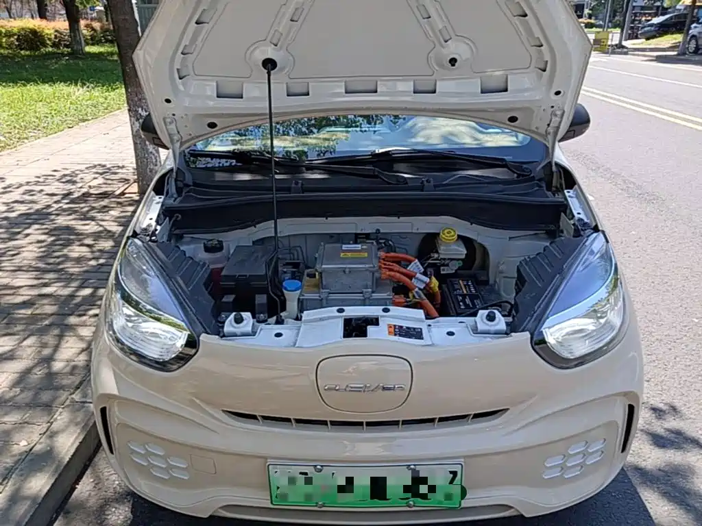 Roewe Kaiwei CLEVER 2024 2022 311km Vitality Bobo Edition