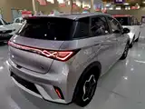 Фото 5 - BYD Dolphin