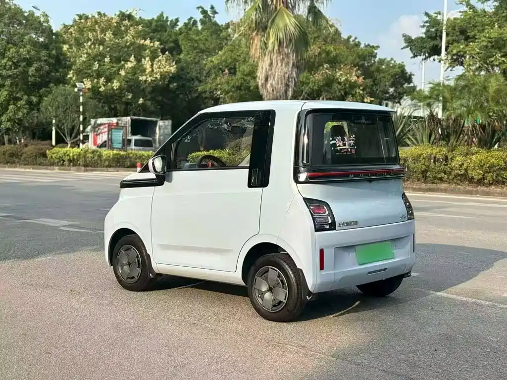 Wuling Motors Wuling Air ev 2024 2023 Model 2-Seater Standard Edition