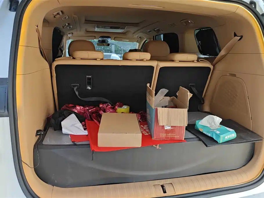 Voyah Auto Voyah Dreamer 2024 PHEV Extended Range Premium Edition фото 4