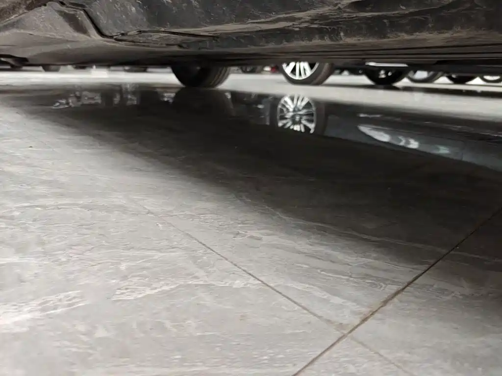 صورة 22 - Volkswagen Passat
