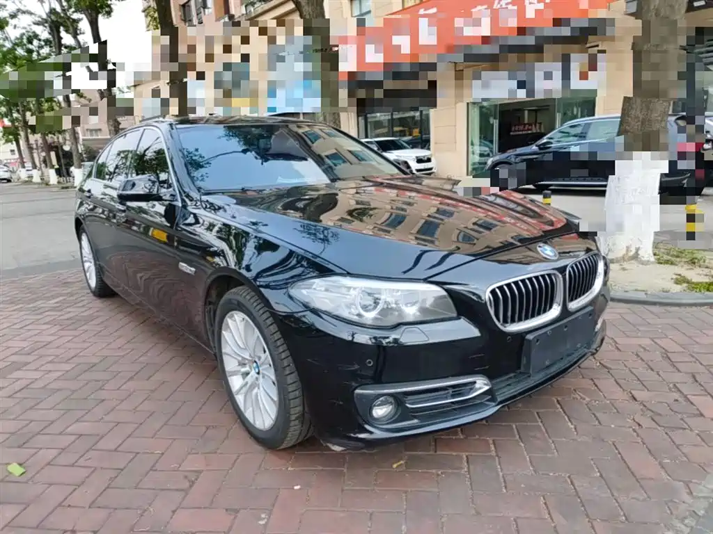 BMW 5 Series 2014 525Li Luxury Design Package фото 4
