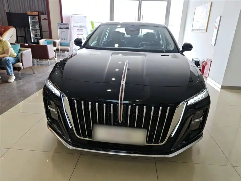 Hongqi H5 2025 2.0T Automatic Flag Celebration 500,000 Units Anniversary Edition фото 3