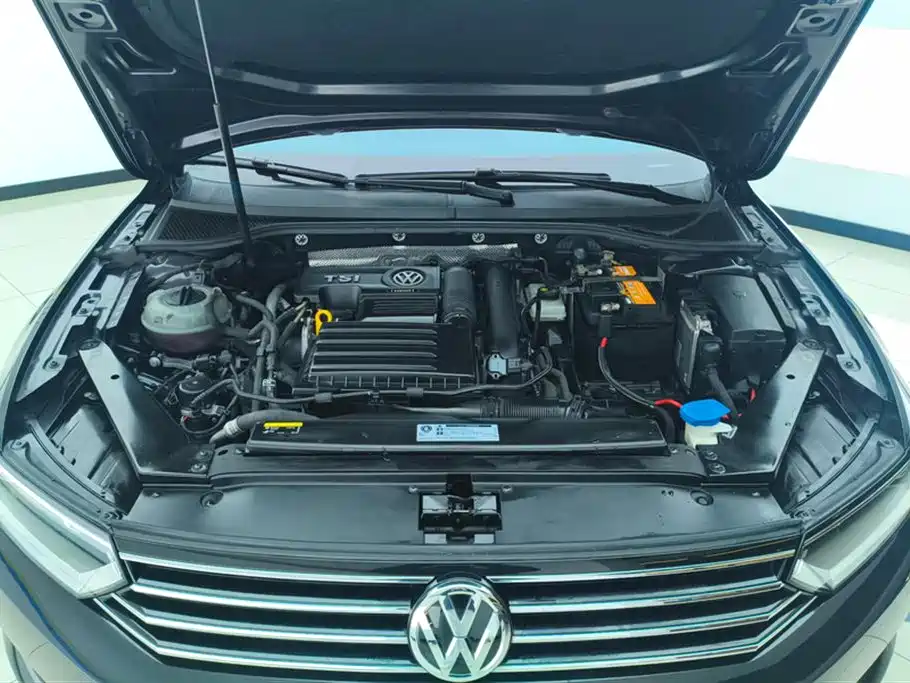 Volkswagen Magotan 2019 280TSI DSG Leading China VI фото 10