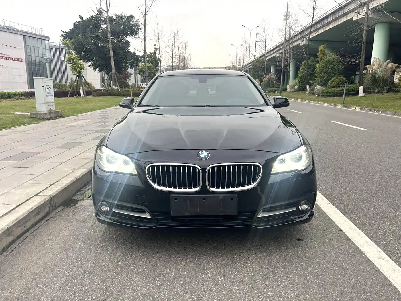 BMW 5 Series 2014 520Li Elegance фото 2