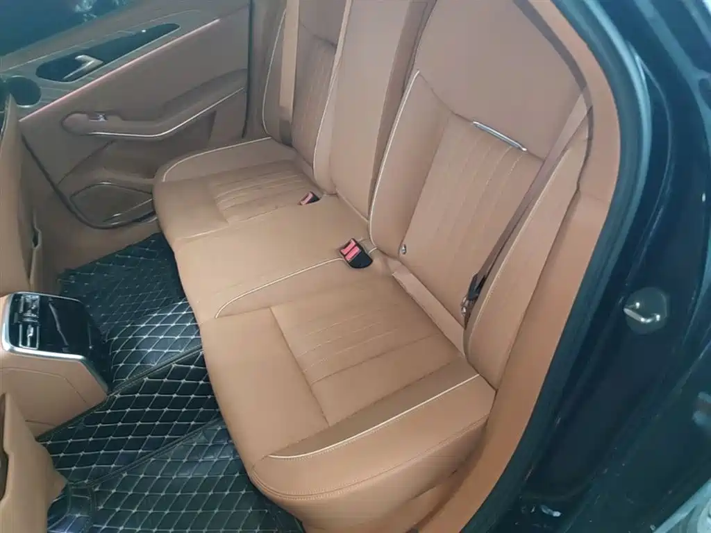Hongqi H9 2023 Model 2.0T Smart Connect Flagship Edition фото 24