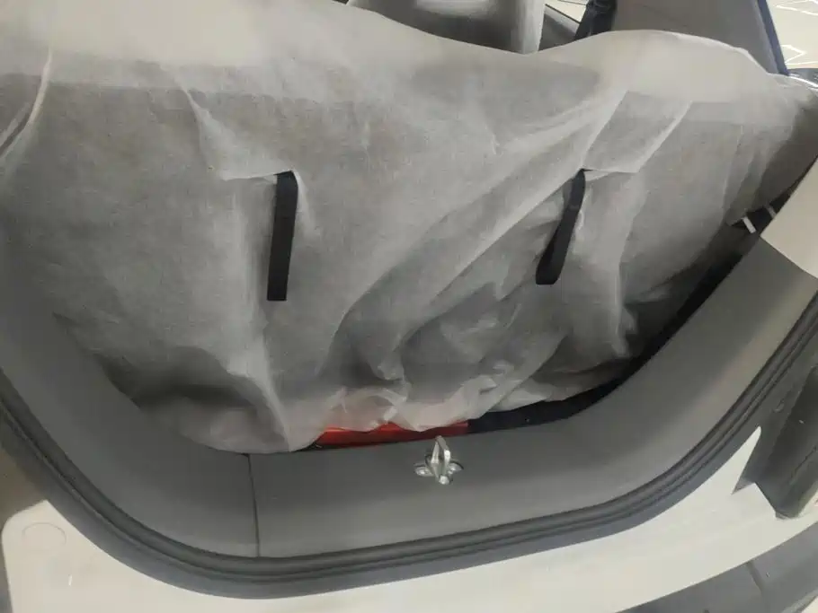 2026 Geely Galaxy Panda