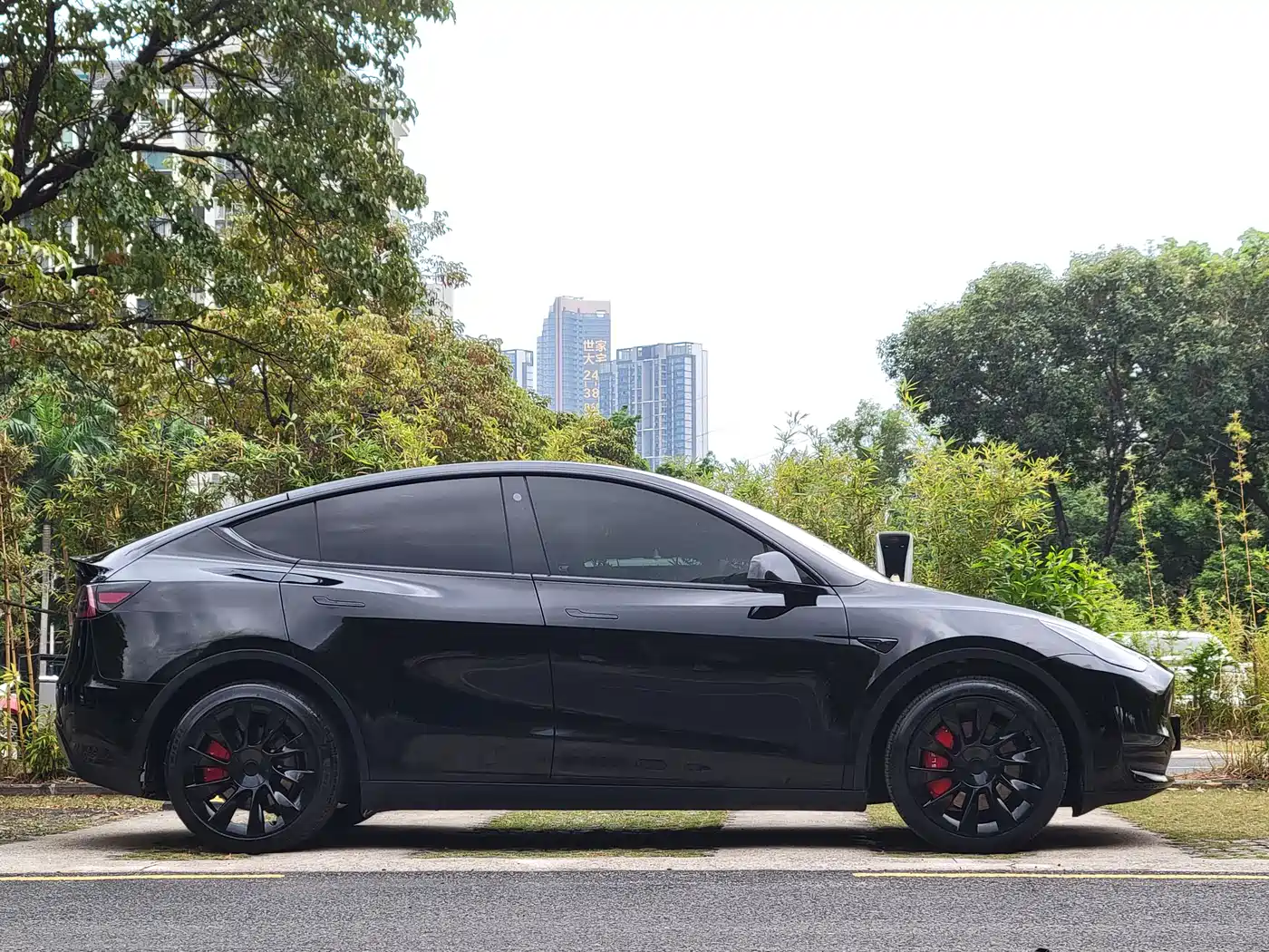 TESLA MODEL Y