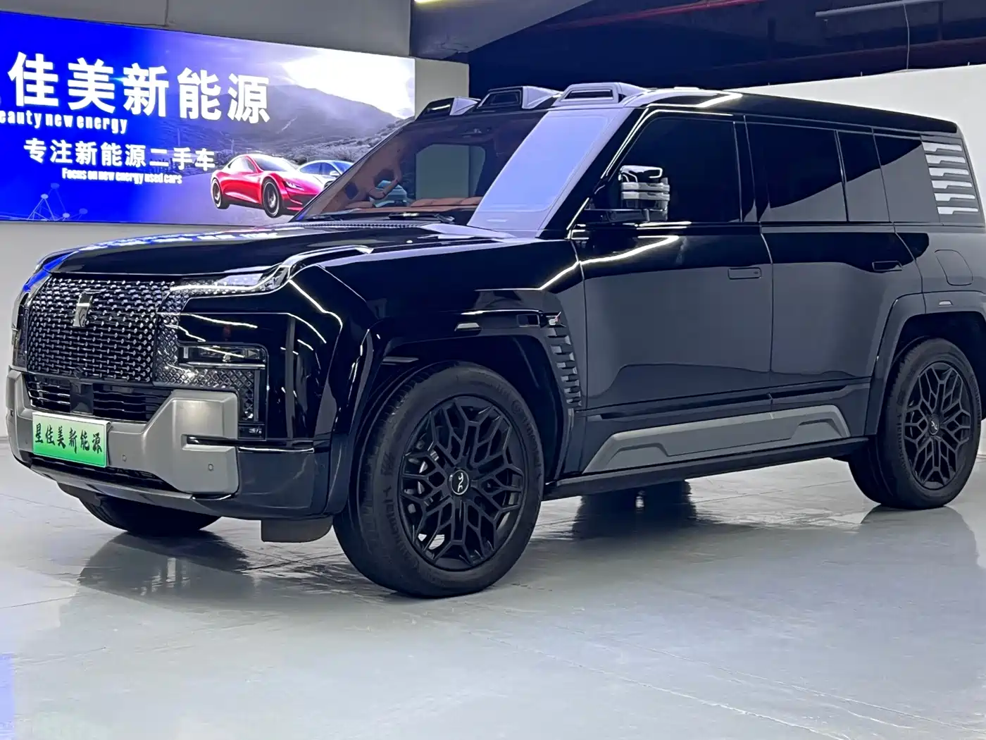 Yangwang U8 2024 2023 Luxury Edition