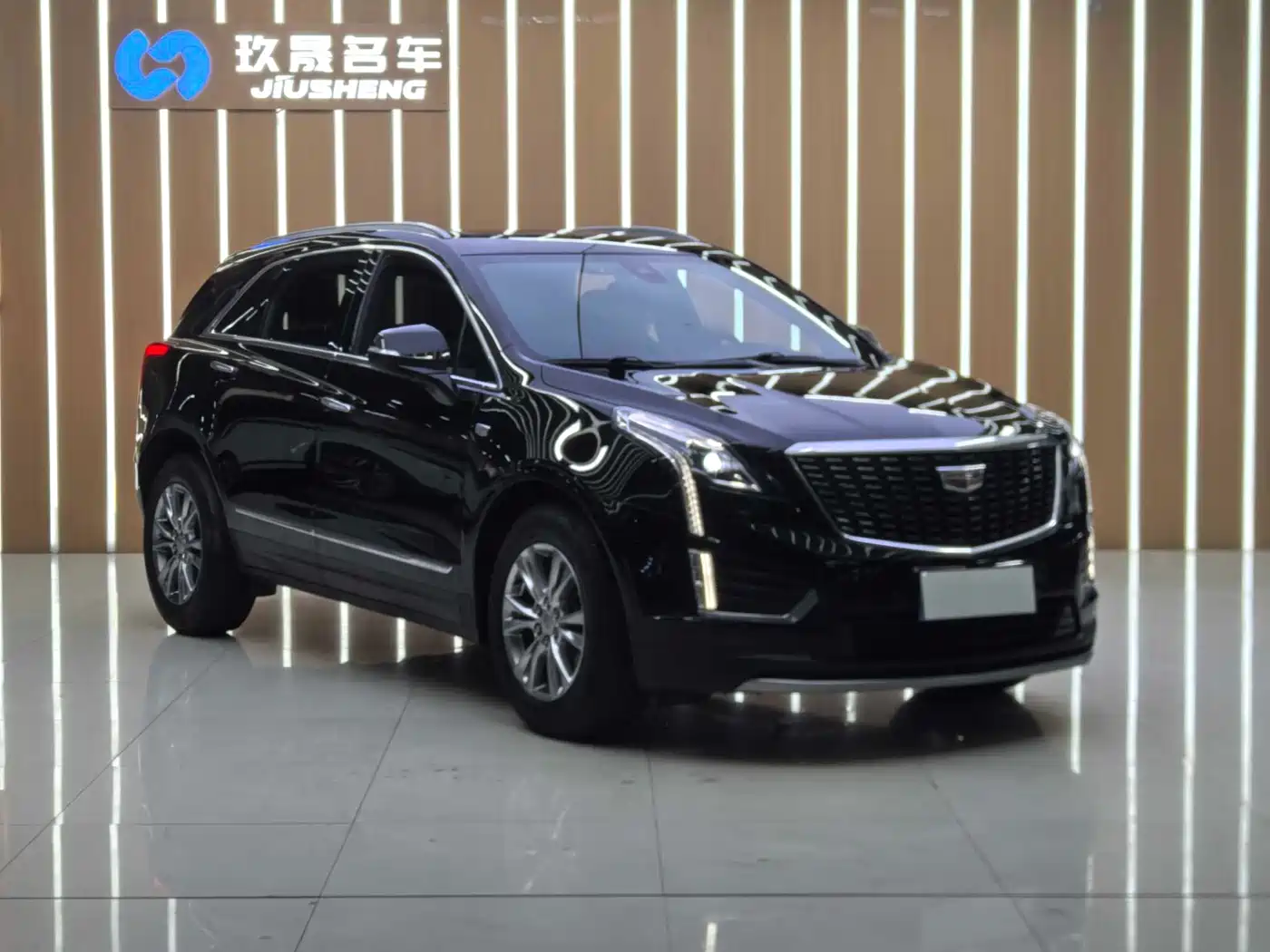 Cadillac XT5 2022 2.0T 2WD Luxury фото 2