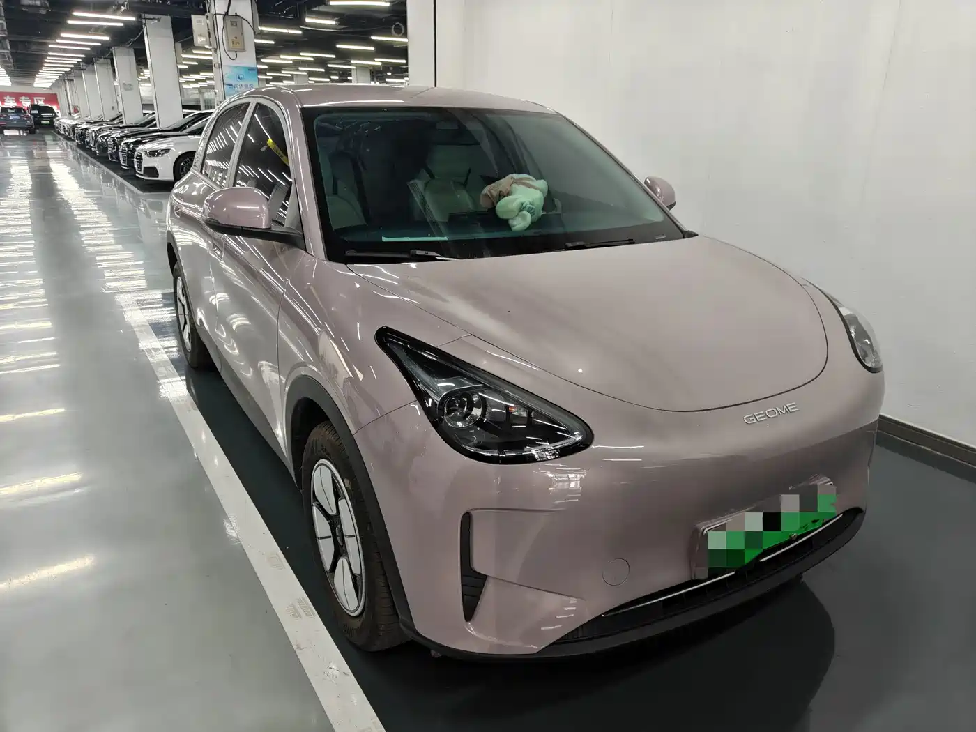 Geely Galaxy Starry Wish 2025 2025 310km Youth Edition
