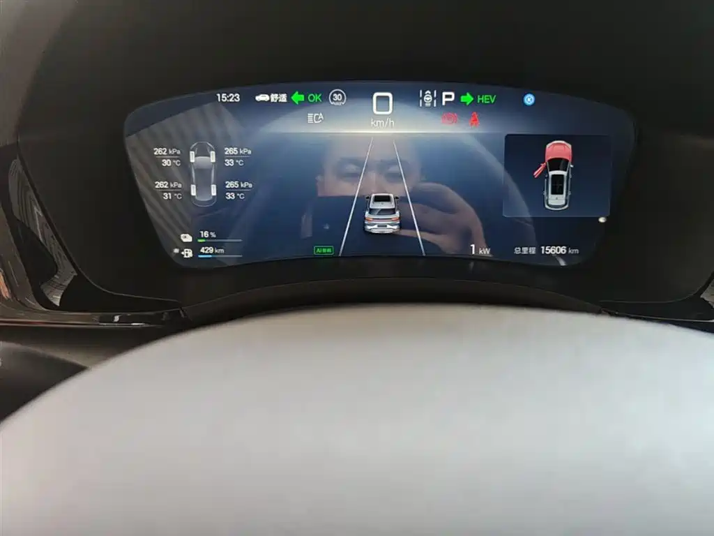 BYD Song PLUS PHEV 2025 DM-i 112KM Honor фото 11