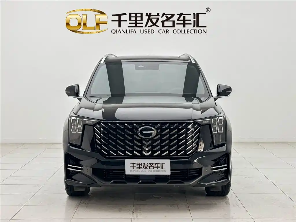 GAC Trumpchi Trumpchi GS8 2025 Pilot Series 2.0TGDI 2WD Luxury Edition 5-seater фото 2