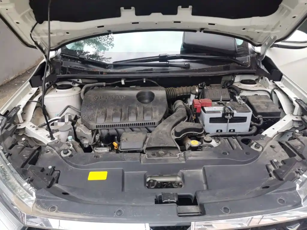Venucia D60 2024 2023 PLUS 1.6L XL CVT Joy Leader Edition