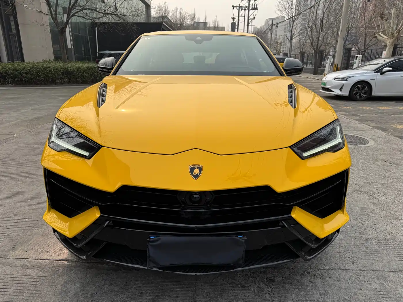 Lamborghini Urus 2022 4.0T V8 Performante фото 2