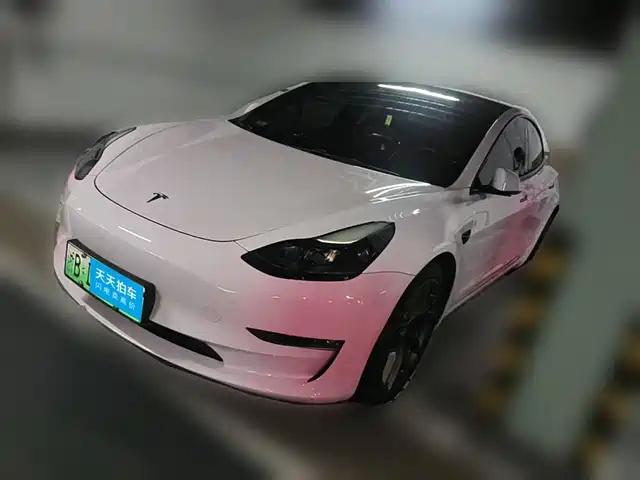 Tesla Model 3 2022 Performance High-Performance AWD — фото 1