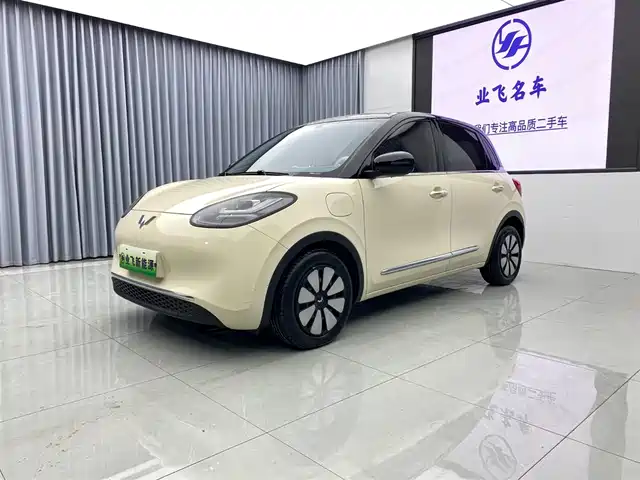 WULING WULING BINGGUO