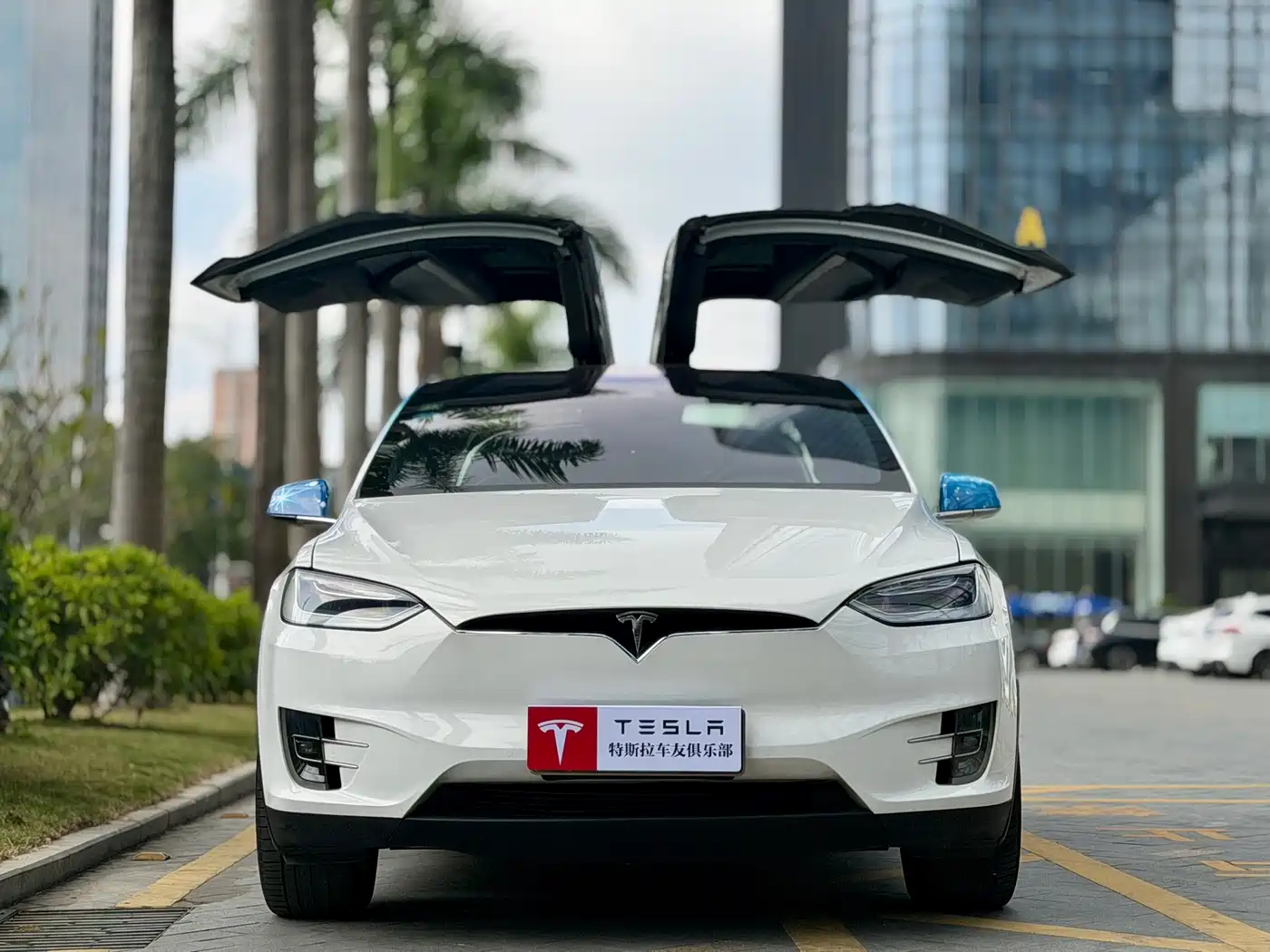 TESLA MODEL X