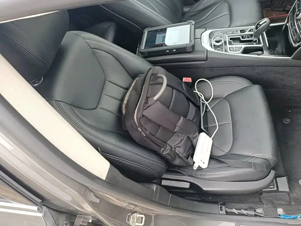 Фото 20 - Geely Borui
