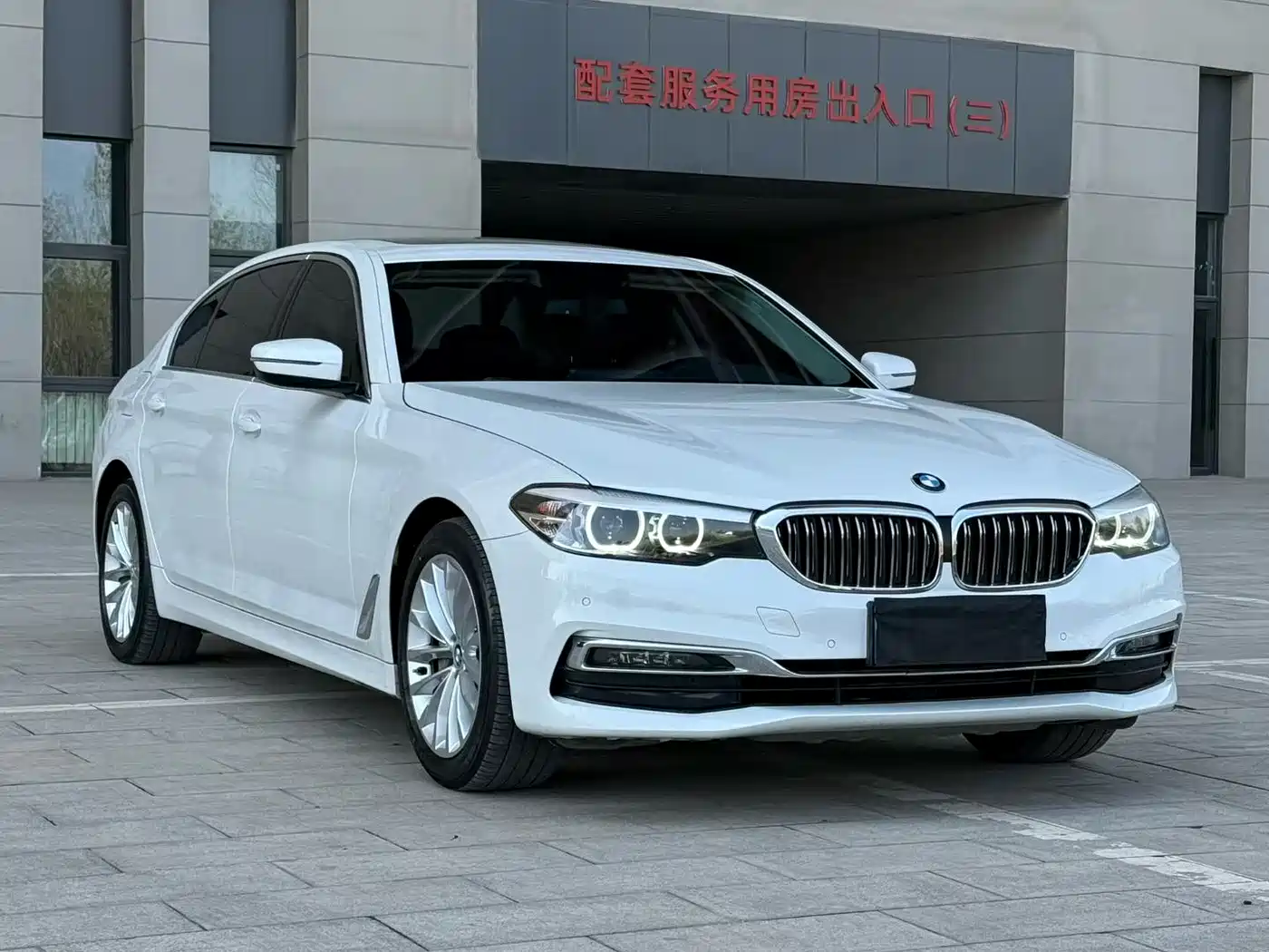 BMW 5 Series 2019 530Li Leading Luxury Package фото 3